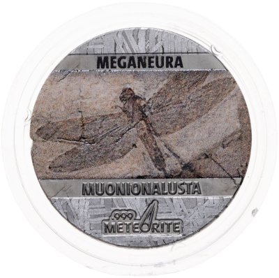 купить Остров Ниуэ 5 центов 2021 "Ископаемые на метеорите: Меганевра" с сертификатом