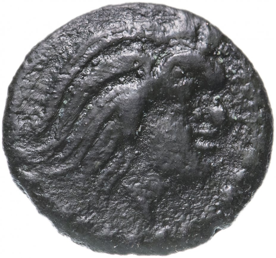 купить Древняя Греция (Пантикапей) Перисад I, Халк 314 - 310 год до н.э.