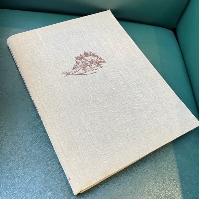 купить Книга проф. д-ра Иозефа Аугусты "По путям развития жизни" с иллюстрациями Зденека Буриана, бумага, печать, Издательство «Артия», Чехословакия, 1959 г.