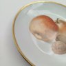 Купить Декоративная тарелка "Яблоки и грецкие орехи", фарфор, деколь, золочение, Thomas Bavaria, Германия, 1908-1939 гг.