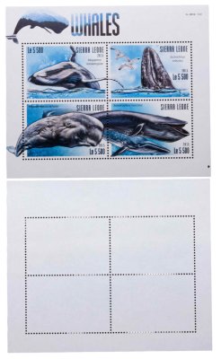 купить Сьера-Леоне марки квартблок "Океан. Море. Киты" 2015