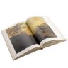 Купить Ю.А.Тарасов "Голландский пейзаж XVII века", подарочное издание, бумага, печать, издательство "Изобразительное искусство", г. Москва, СССР, 1983 г.