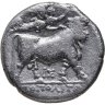 Купить Кампания, Неаполь, 275-250 годы до Р.Х., Дидрахма.
