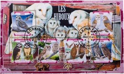 купить Буркина Фасо марки квартблок "Фауна. Птицы. Совы" 2021