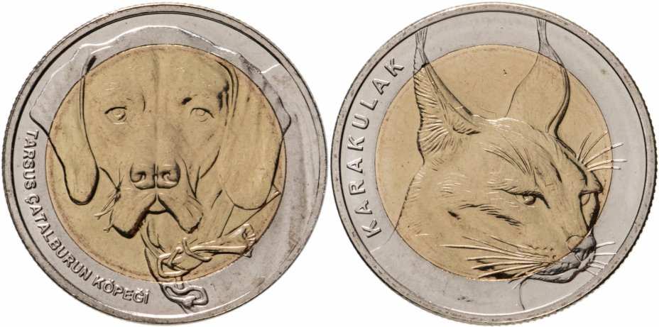 купить Турция набор монет 1 куруш 2021 "Фауна Турции" (2 штуки)