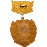 Купить Знак "Почетный гражданин Грачевский район" тяжелый, эмаль, заколка