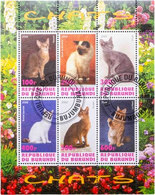 купить Бурунди марки квартблок "Коты и кошки" 2009