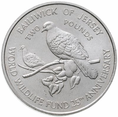 Купить Джерси 2 фунта 1987