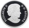 Купить Канада 20 долларов 2016 "Гагара", в коробке с сертификатом