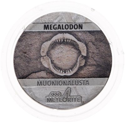 купить Остров Ниуэ 5 центов 2021 "Ископаемые на метеорите: Акула мегалодон" с сертификатом