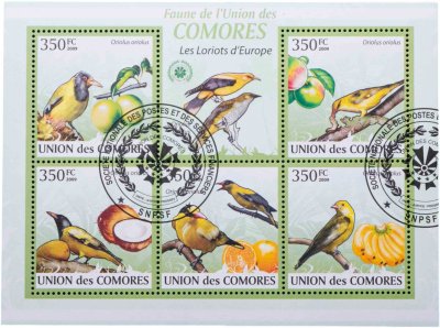 купить Коморские острова марки квартблок "Фауна. Птицы." 2009