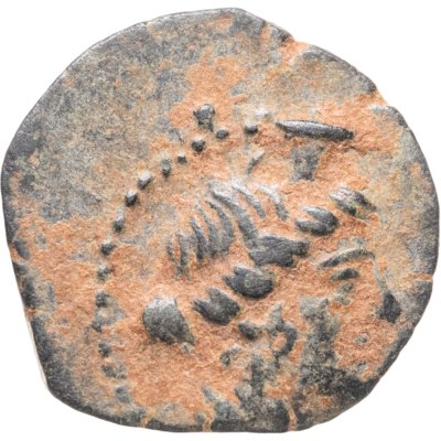 купить Государство Селевкидов, Клеопатра Тея и Антиох VIII, 125-121 годы до Р.Х., АЕ15.