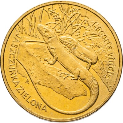 купить Польша 2 злотых 2009 "Животный мир Польши: Ящерица"