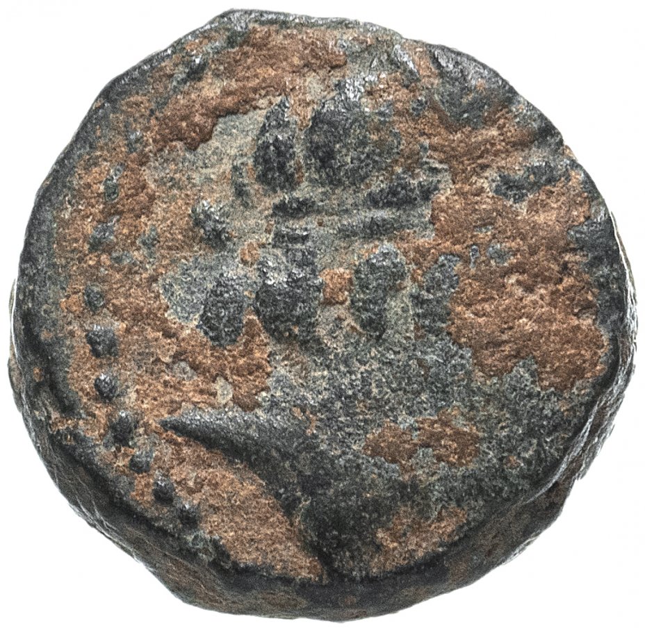 купить Селевкиды, Антиох III Великий, 223-187 годы до Р.Х., АЕ11.