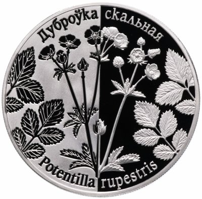 Купить Беларусь 1 рубль 2017 "Возрожденные растения - Лапчатка скальная (Potentilla rupestris)"