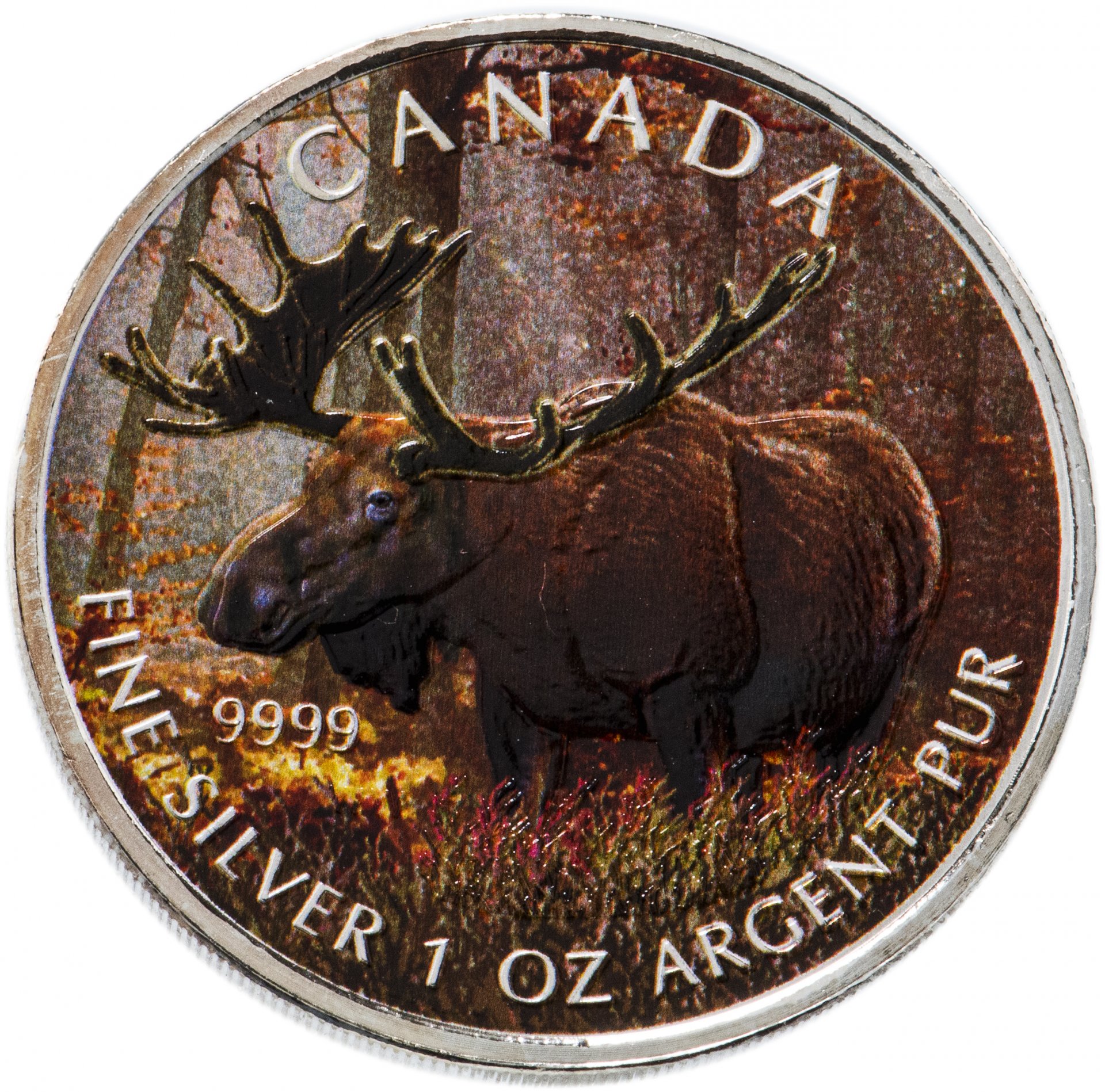 Быстрый лось сайт. Монета с лосем. Канадские лоси монеты. Серебряная монета  Лось. Монеты с изображением лося.
