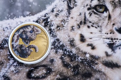 купить Тувалу 1 доллар 2016 "Котята" (в конверте с маркой)