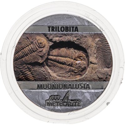 купить Остров Ниуэ 5 центов 2021 "Ископаемые на метеорите: Трилобит" с сертификатом