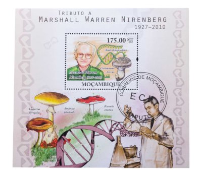 купить Мозамбик квартблок из марки "Флора и фауна. Грибы"