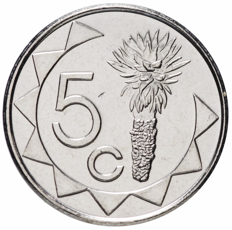купить Намибия 5 центов (cents) 2015