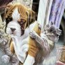 Купить Тарелка декоративная (настенная) с изображением собаки и двух котов, фарфор, деколь, Дмитровский фарфоровый завод (ДФЗ Вербилки), Российская Федерация, 1991-2012 гг.