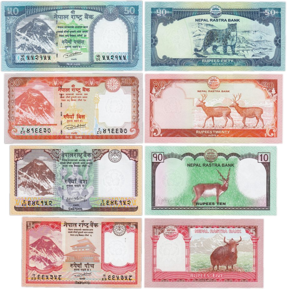 купить Непал - набор из 4 банкнот 5(2017), 10(2020), 20 (2020) и 50 рупий (2019) Фауна