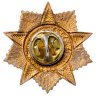 Купить Нагрудный знак "Фронтовик", СССР-Россия, 1980-1990 гг.
