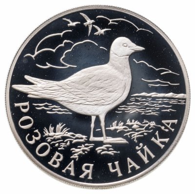 Купить 1 рубль 1999 СПМД Красная книга - розовая чайка