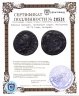 Купить Римская империя, провинция Сирия, Веспасиан, 69-79 годы, Ассарий.