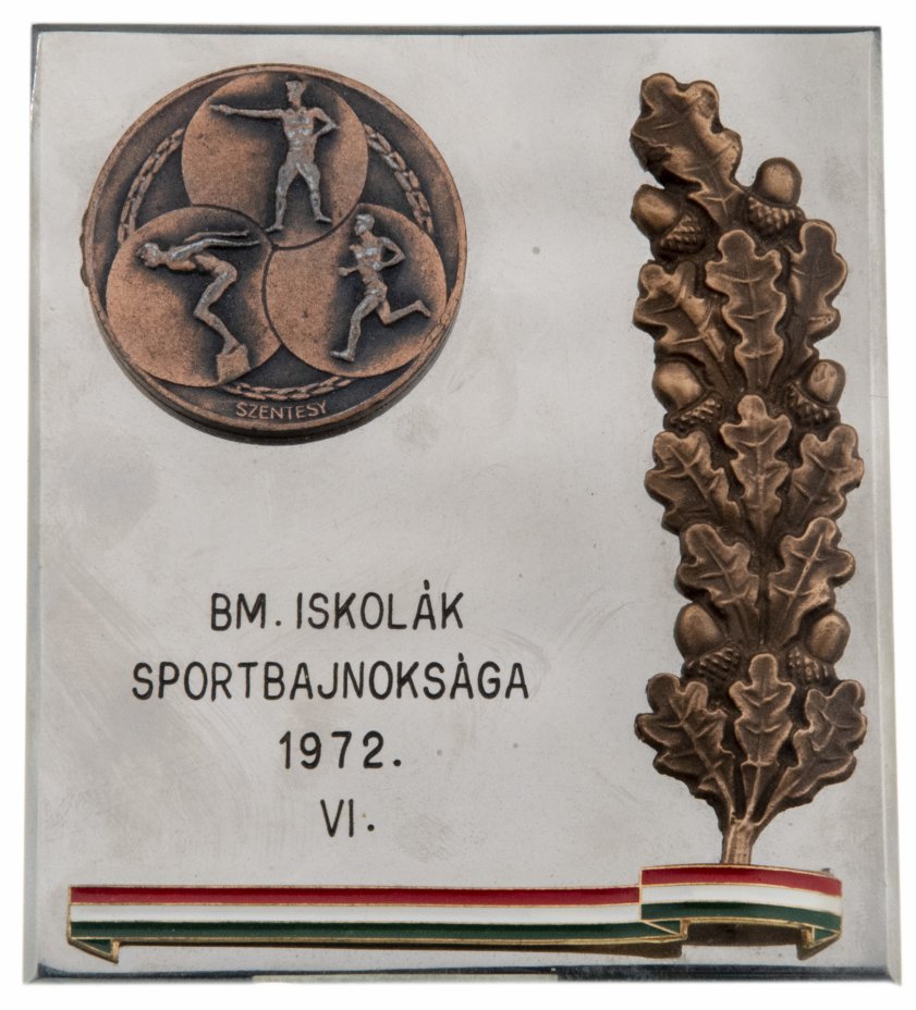 купить Венгрия знак "Спортивные учения 1972 " в футляре