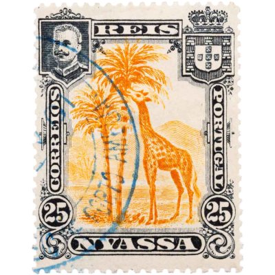 купить Ньяса марка 1901-1921 "Фауна" Португальский Мозамбик