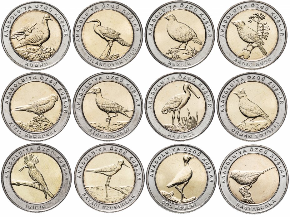 купить Турция набор монет 2019 (2020) "Птицы Анатолии" (12 штук,  кольцо серого цвета)