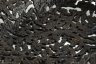 Купить Блюдо "Дубовые листья", чугун, крашение, Каслинский чугунолитейный завод (Касли), СССР, 1956 г.