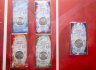 Купить Полный набор из 5 цветных монет 25 рублей 2025 серии Российский спорт: Спартак, ЦСКА, Динамо, Локомотив, Трудовые резервы, в капсульном альбоме,