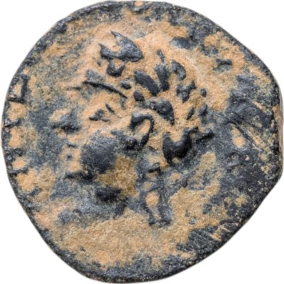 купить Римская империя, провинция Сирия, Тиберий, 14-37 годы, АЕ18.