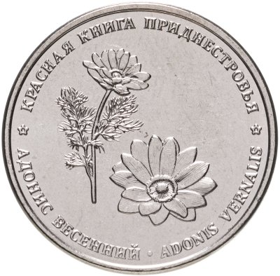 купить Приднестровье 1 рубль 2021 Красная Книга Приднестровья - Адонис Весенний
