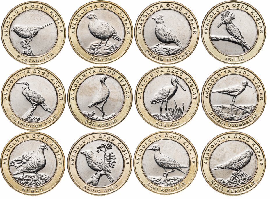 купить Турция набор монет 2019 (2020) "Птицы Анатолии" (12 штук, кольцо желтого цвета)