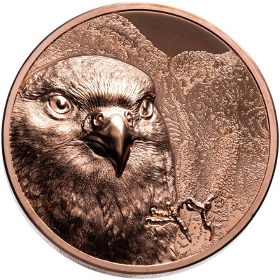 купить Монголия 250 тугриков 2023 Proof "Сокол" в капсуле