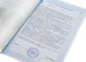 Купить 2 рубля 1723 В латах, с пальмовой ветвью на груди, Биткин №158 (R) с экспертным заключением ГИМ (Ширяков И.В.)
