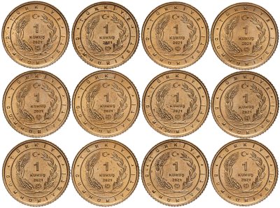 купить Турция набор из 12 монет 1 куруш 2021 Фауна - Птицы