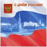 Купить Сувенирный набор в художественной обложке "Сувенирный набор в художественной обложке "С Днём России!"