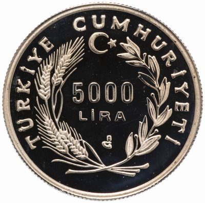 купить Турция 5000 лир (lira) 1992 "500 лет мира и гармонии - турецкие евреи"