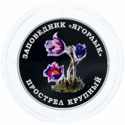 купить Приднестровье 10 рублей 2019 "Прострел крупный"