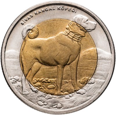 купить Турция 1 лира (lira) 2010 Фауна Турции - Собака