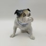 Купить Статуэтка "Английский бульдог", фарфор, роспись, Wagner & Apel, ГДР, 1951-1974 гг.