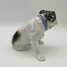 Купить Статуэтка "Английский бульдог", фарфор, роспись, Wagner & Apel, ГДР, 1951-1974 гг.
