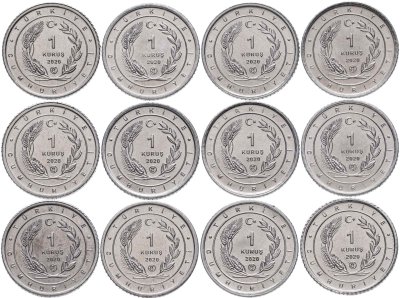 купить Турция набор из 12 монет 1 куруш 2020 Птицы