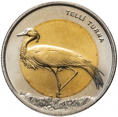 купить Турция 1 лира 2013 "Фауна Турции - Журавль-красавка"