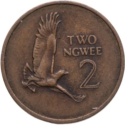 купить Замбия 2 нгве (ngwee) 1983