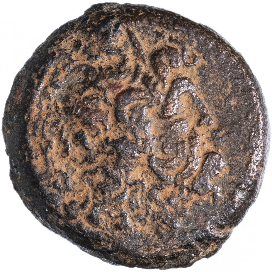 купить Царство Птолемеев, Птолемей VI, 180-145 годы до Р.Х., диобол.